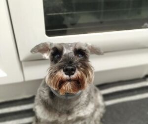 Victormareror