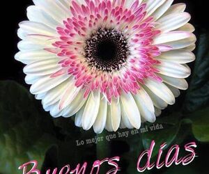 riac22@gmail.c