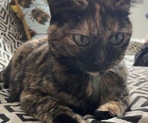 Angela