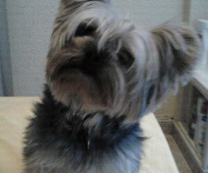 Tony
