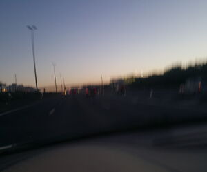 Dolores