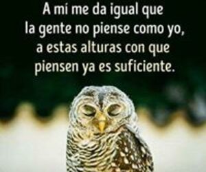 Nito Dguez Fde