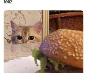 nur