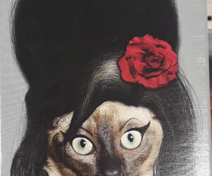 Teresa