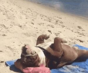 🌊☀️🧘