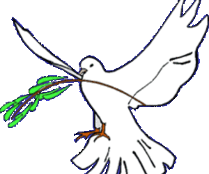 Paz