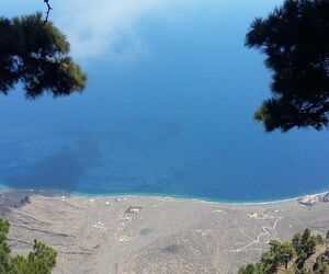 Mifaya