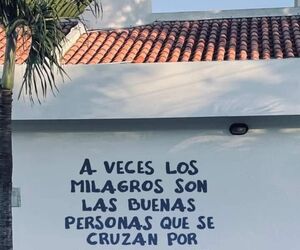 Canario45