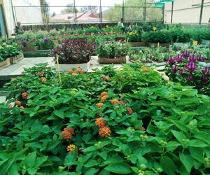 Foto de Esther en Las Palmas