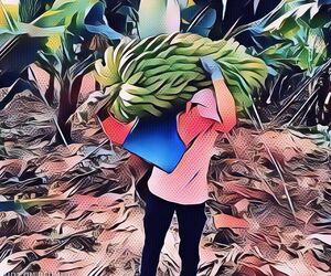 rd