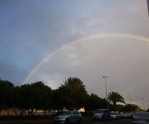 Zenia