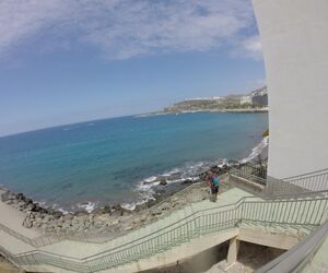canario28