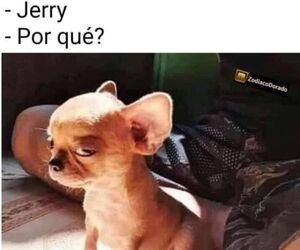 Jmv