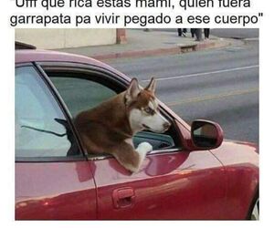 Javier