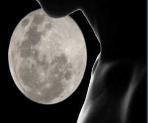 Luna Nueva