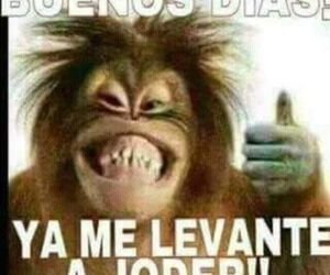 Jose