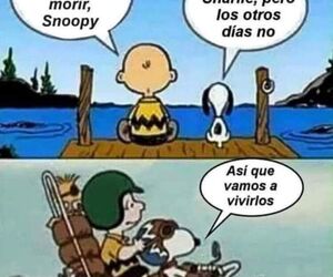 Vida