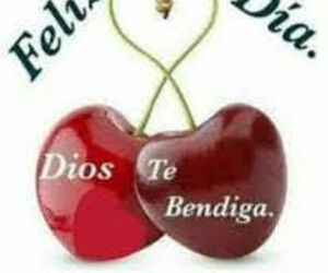 Ludy