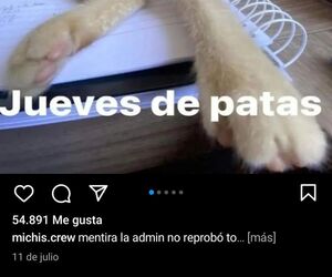 Jling