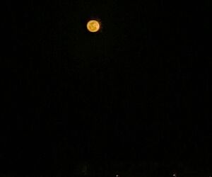🌕