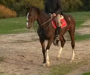 Jose Maria
