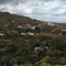 Paseo por el Guiniguada y visita al Jardí­n Canario