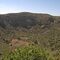 Visita a la Caldera de Bandama