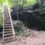 Sendero del Álamo 