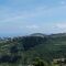Picnic campo