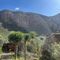 Ruta interpretativa a la Caldera de Bandama y picoteo en Bochinche