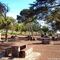Paseo por el campo y picnic 