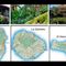 Viaje a las islas occidentales. La Palma, La Gomera y El Hierro.