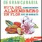 RUTA DEL ALMENDRO EN FLOR