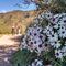 Mindful walking o paseo consciente por Vecindario y tomar algo