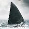 Cine: Megalodon ðŸ˜±ðŸ¦ˆ