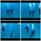 Inmersión buceo