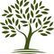 INAUGURACIí“N DE LA ASOCIACIí“N CULTURAL GASTRONOMICA VEGETARIANA -LA COCINA DE LOS MILAGROS- Telde - La Garita - Galeria Mencey, 2 - cerca Correo