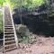 Sendero del Álamo ðŸŒ±ðŸŒ¿ðŸŒº