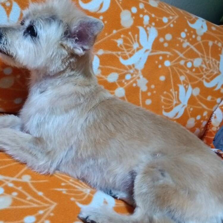 Foto de perfil de Luz