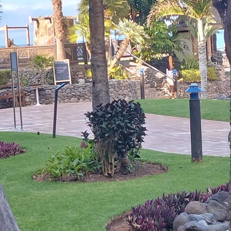 Foto de perfil de Maria