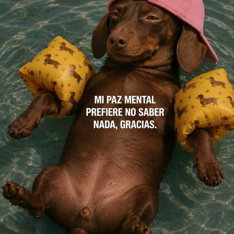 Foto de perfil de Rita