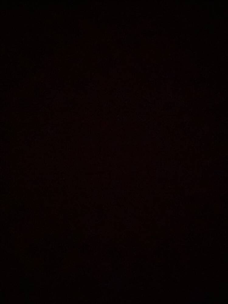 Foto de perfil de Pedro