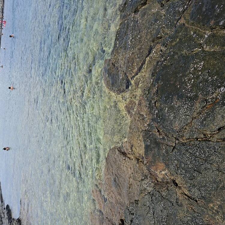 Foto de perfil de Carmen