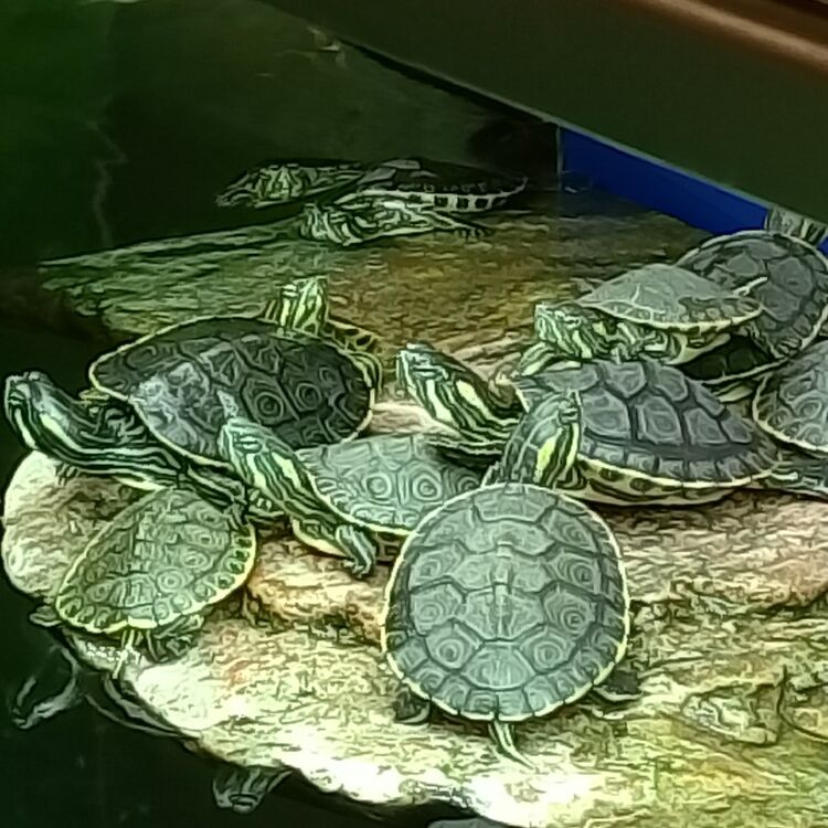 Foto de perfil de Diego