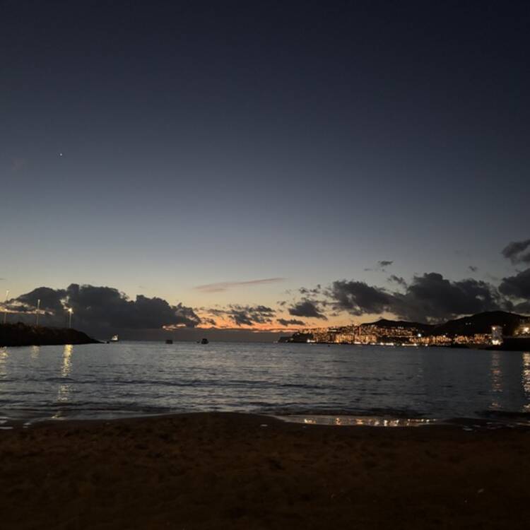 Foto de perfil de Yanira