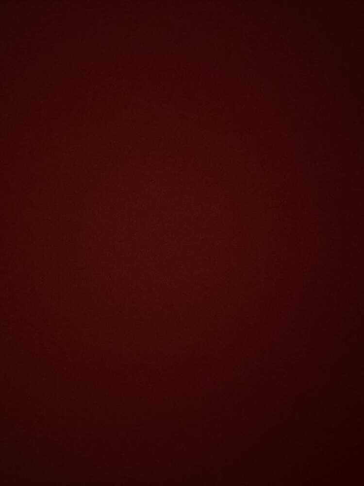 Foto de perfil de Maikel