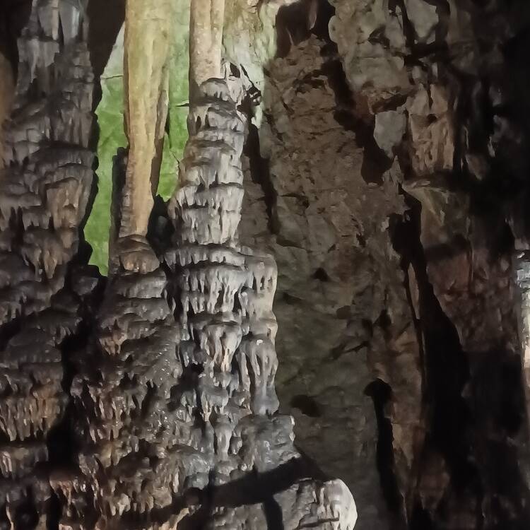 Foto de perfil de Lavina
