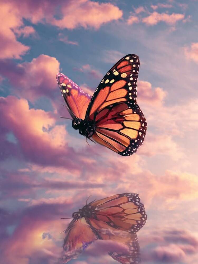 Foto de perfil de Alma