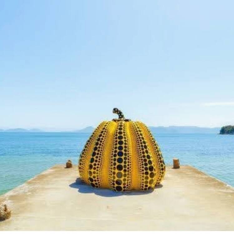 Foto de perfil de Ine