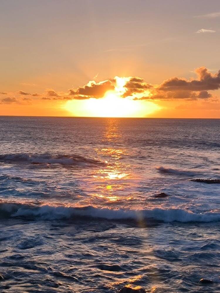 Foto de perfil de Hari